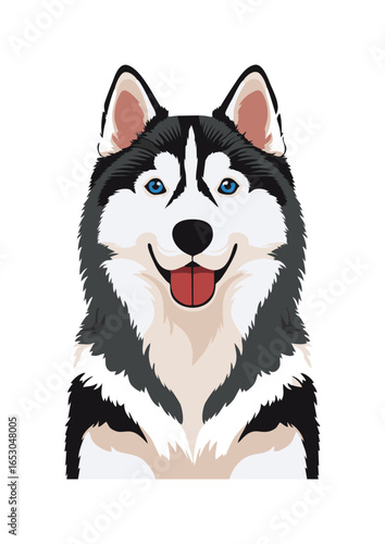 siberian husky dog vector illustration white background