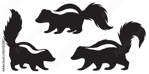 Cartoon Skunk Silhouette Vector Illustration Set on White Background