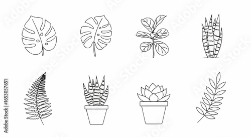 Vector plant icons of monstera leaves and potted houseplants representing indoor gardening and botanical decoration