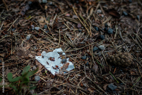 A dry pine cone lies among twigs, gravel, and a torn piece of litter on the forest floor, showing human impact in nature.