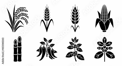 Solid black vector icons of wheat, rice, and crops symbolizing agriculture, farming, harvest, and food sustainability