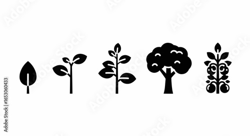 Solid black vector icons of seedlings and tree growth representing agriculture, nature, gardening, and ecological sustainability