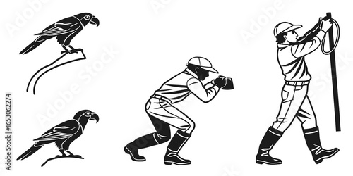 Falconry and photography