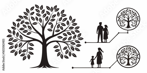 Family tree and generations