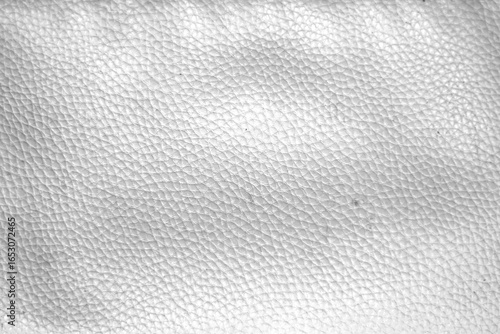 Fotomural pure white color leather texture background