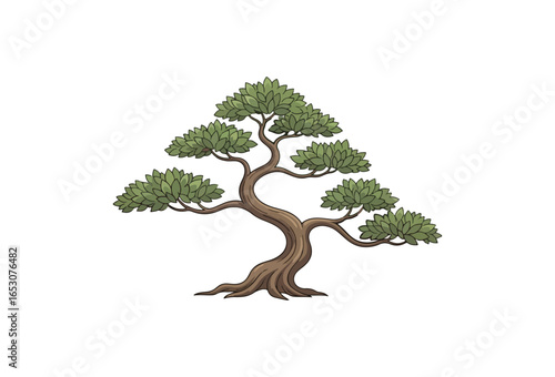 Bonsai tree illustration artistic tree design