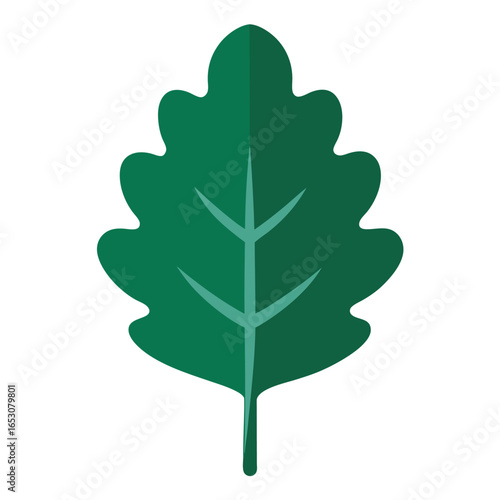 A cartoon-style vector illustration of a green oak tree with leaves, isolated on a white background, symbolizing nature and the forest