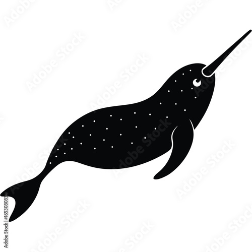 narwhal vector