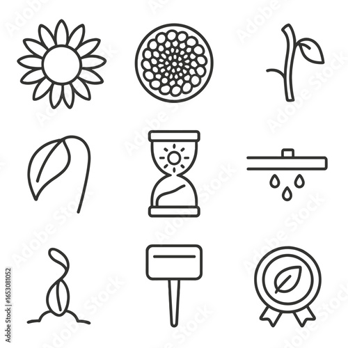 Minimalist Sunflower Icons. Outline style icons of Minimalist Sunflower: radial petal burst, center seed spiral, broken stalk