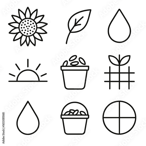Minimalist Sunflower Icons. Outline style icons of Minimalist Sunflower: starburst petal, shaded seed center, taper stem, single