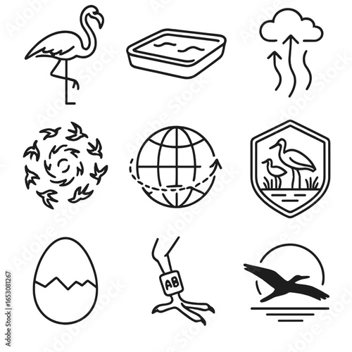 Outline Migratory Birds Icons. Outline style icons of Migratory Birds: greater flamingo, salt pan pool, thermal lift icon, flock