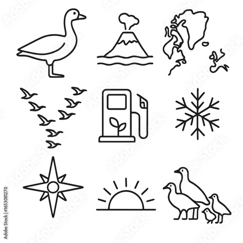 Migratory Birds Icons. Outline style icons of Migratory Birds: pink-footed goose, volcanic island stop, north Atlantic map, V