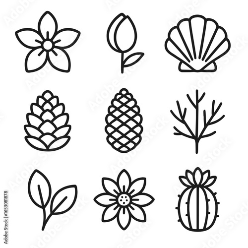 Nature Icons Collection. Line style icons of open and closed nature items: open flower, closed bud, open clamshell, closed shell,