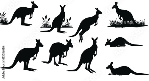 Collection of Diverse Kangaroo Silhouettes Showcasing Various Poses and Actions Against a Clean White Background for Graphic Design Projects