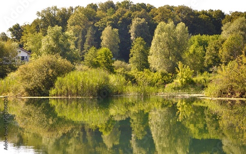 Mreznica river on hot summer day. The Mreznica is a river in Karlovac County, Croatia.River in the deep forest. Mreznica river near Duga Resa. Croatia.