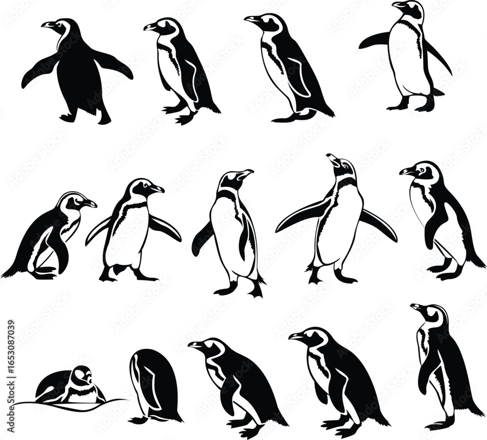 Obraz premium Penguin Silhouette Vector for Designers