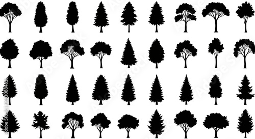 Collection of Silhouettes of Various Types of Trees in Black and White Representing Diverse Forest Flora and Arboreal Diversity
