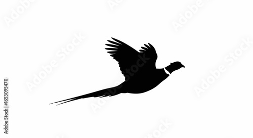 Elegant Pheasant in Flight A Silhouette Illustration