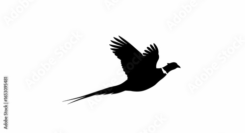 Elegant silhouette of a common pheasant in mid-flight, a minimalist vector graphic icon representing wildlife, nature, and hunting sports.