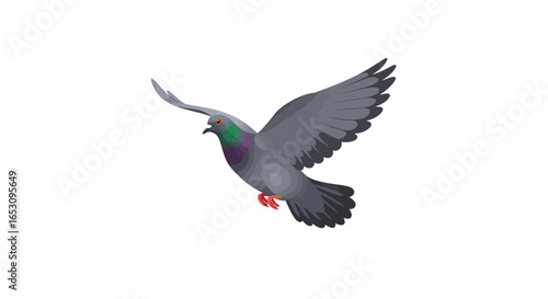A majestic pigeon in mid-flight against a pristine white background, a symbol of peace and freedom