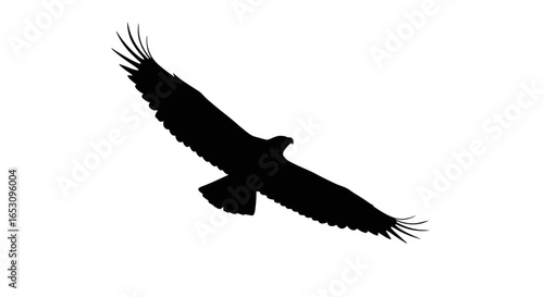 Silhouette of a majestic eagle soaring through the sky, a symbol of freedom and power.