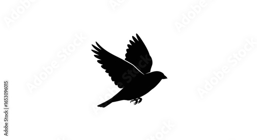 Silhouette of a Bird in Flight Capturing Freedom and Grace | imagefx_nv79qm_via_RJ_ImageFX_Auto.ai