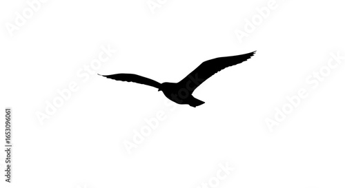 A striking minimalist black silhouette of a graceful bird in flight, embodying freedom and elegance, digitally rendered with modern precision for a clean, impactful visual.