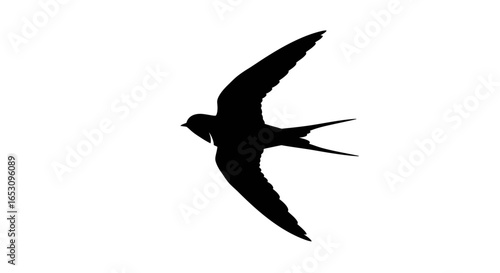 Elegant black silhouette of a swallow in flight, a minimalist vector icon of a swift bird with spread wings isolated on a white background.