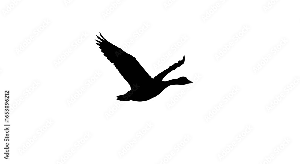 Obraz premium Soaring Silhouette A Goose in Flight - Capturing the Essence in an Image