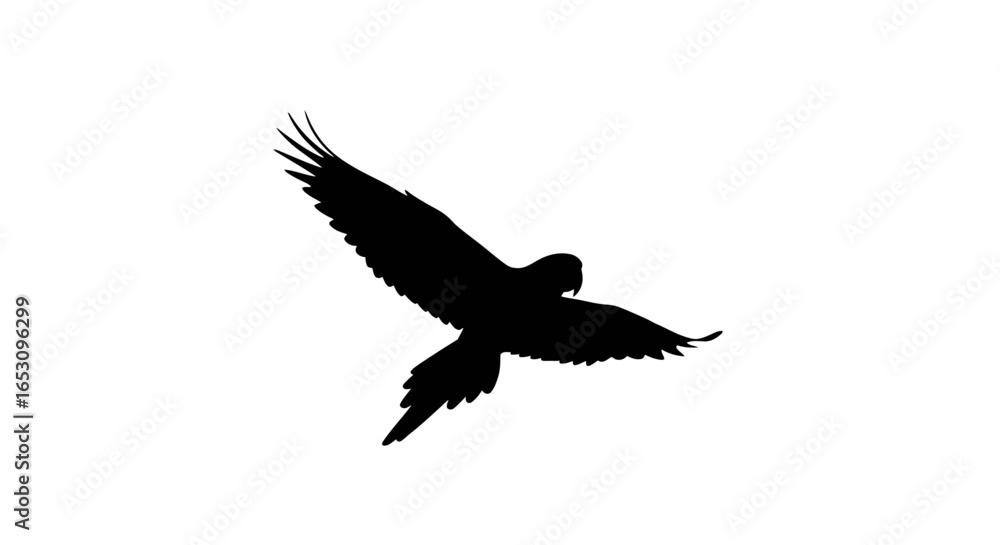 Obraz premium Elegant black silhouette of a tropical bird in powerful flight, isolated against a crisp white backdrop, ideal for modern graphic design and digital media applications