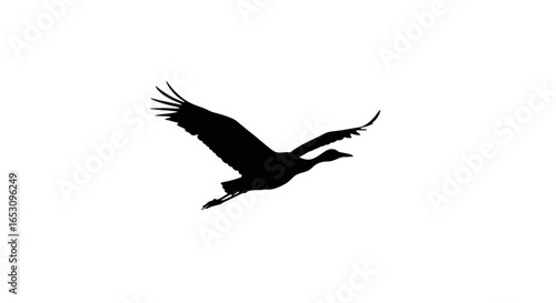 Silhouette of a majestic crane in flight, capturing the grace and freedom of nature