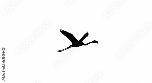 Flamingo in Flight A Silhouette Against the White Sky – Capturing the Grace and Beauty of Nature