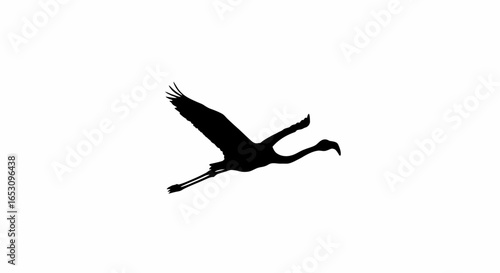 Elegant Silhouette of a Flamingo in Flight