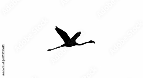 Silhouette of a graceful flamingo in flight against a pristine white background, imagefx_n9atu5_via_RJ_ImageFX_Auto