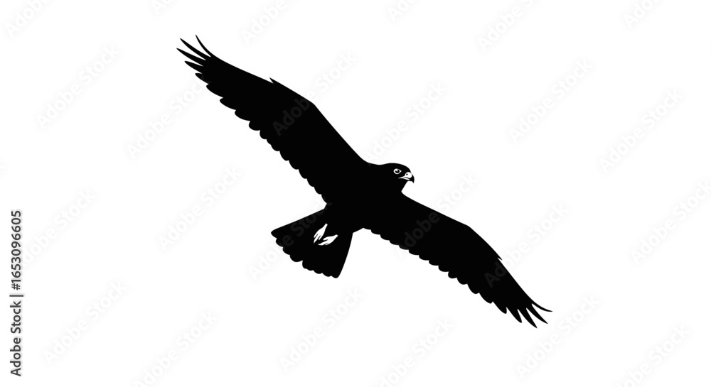 Fototapeta premium A striking black silhouette of a majestic bird of prey in full flight, isolated on a clean white background, representing freedom and nature's power