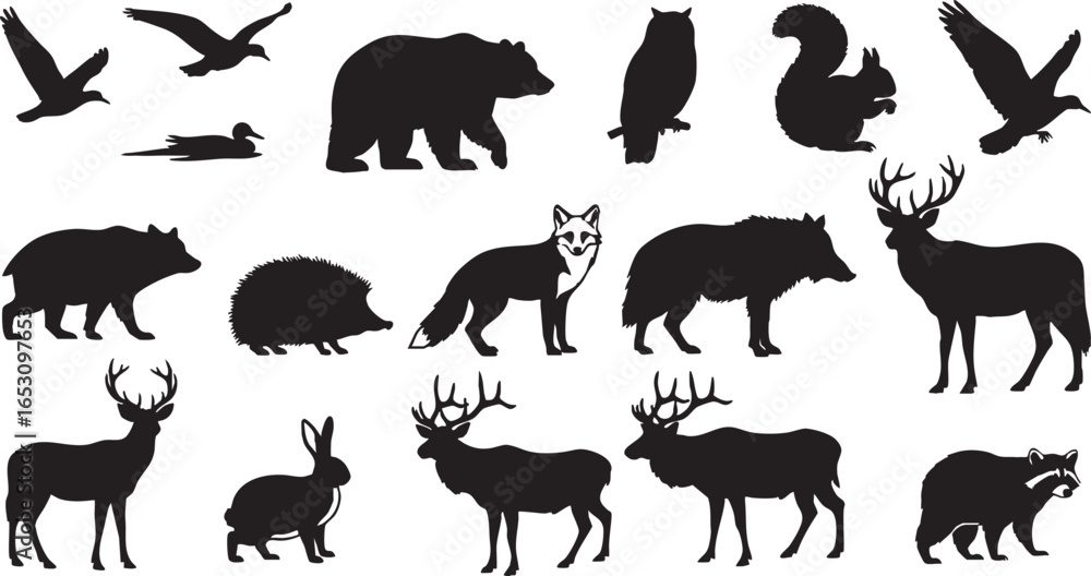 Naklejka premium Assortment of wild forest animal silhouettes on white background, deer, owl, bear, fox, eagle, hawk, squirrel, rabbit, wolf, hedgehog, duck, bird, mammal, wildlife, nature, forest, woodland, animal, s