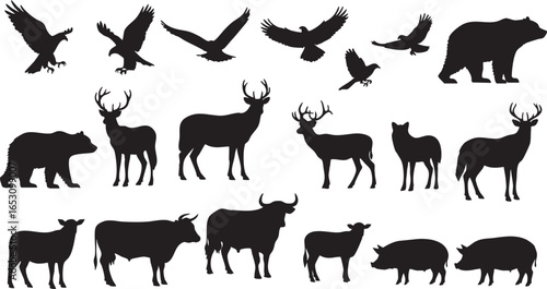 Photography Collection of wild animal silhouettes animals wildlife, wild, animals, wildlife,