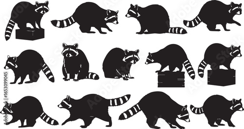 Collection of Raccoon Silhouettes in Different Poses, silhouette, raccoon, animal, wildlife, masked bandit, creature, mammal, illustration, graphic, design, vector, collection, group, variety, differe