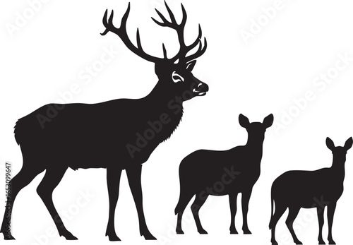 Deer family silhouettes with stag and two does, deer, silhouette, family, doe, stag, animal, wildlife, nature, outdoor, forest, tree, dark, black, shadow, wild, woods, fawn, buck, parent, offspring, g