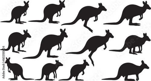 Kangaroo silhouettes in various poses marsupial animal, kangaroo, marsupial, animal, wildlife, australia, silhouette, illustration, graphic, design, vector, collection, set, variety, different, many, 