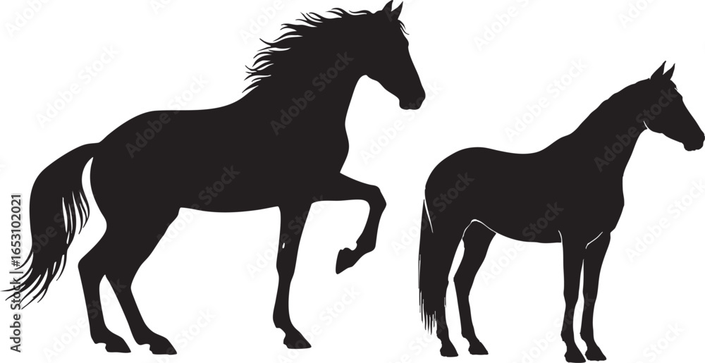 Obraz premium Two black horse silhouettes on white background equine, horse, equine, animal, mammal, silhouette, black and white, illustration, graphic, design, vector, equestrian, riding, racing, farm, ranch, stab