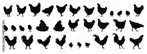hen or chicken, rooster and chicks silhouette set. hen, rooster and chicks isolated farm animal silhouette icon vector collection