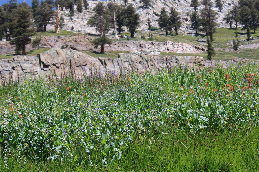 Obraz premium Sierra Nevada mountain range