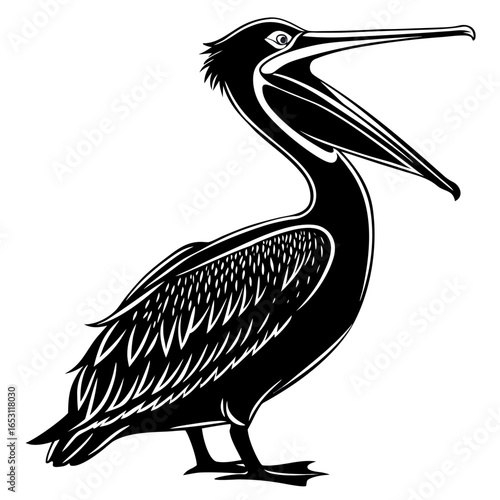 illustration of a brown pelican