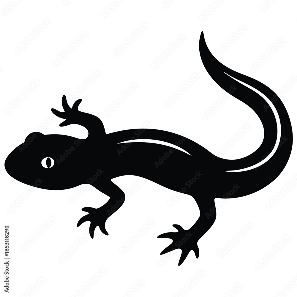 Fototapeta premium NEWT VECTOR