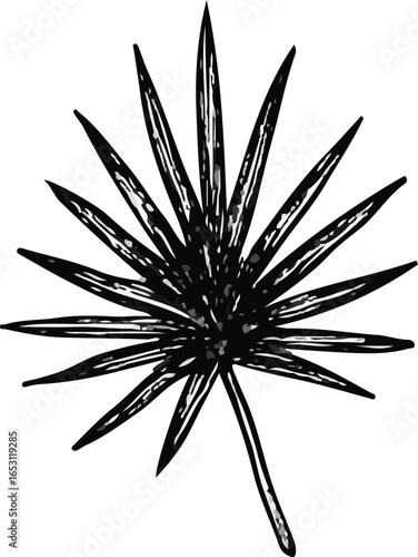 Chic Black and White Branch Illustration for Tropical Aesthetics