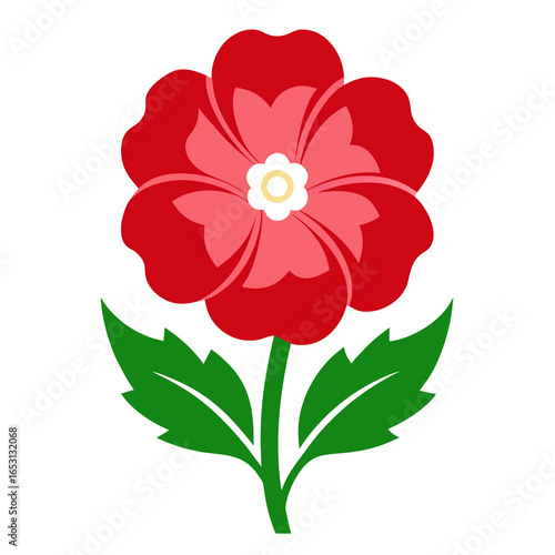 red carnation flower