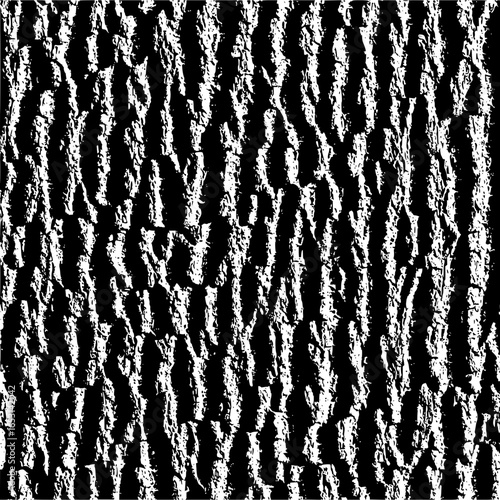 A detailed monochrome image showcasing the intricate patterns and textures of a tree bark surface