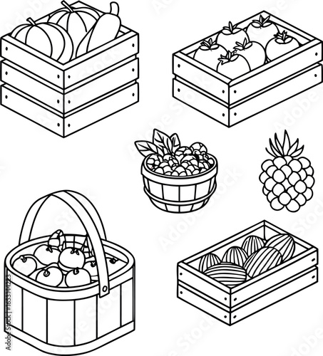 vector set of fruits busket
