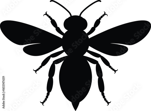 Black bee silhouette insect wings